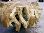 CONTEMPORARY,WOODEN,TEAK ROOT COFFEE TABLE