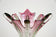 20TH, CENTURY, MURANO, GLASS, VASE, ITALY
